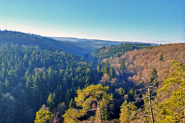 Nebřeziny, pohled do údolí Střely ze skály U Bílého potoka (Evropsky významná lokalita / Natura 2000)