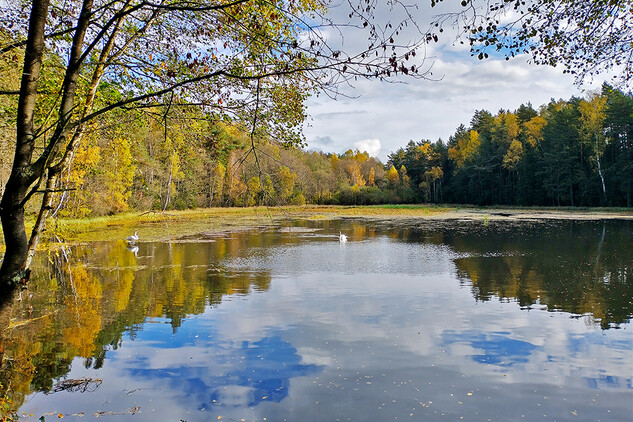 Podbořánky, Horní rybník